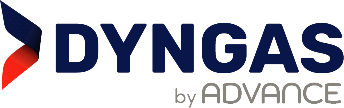 Dyngas